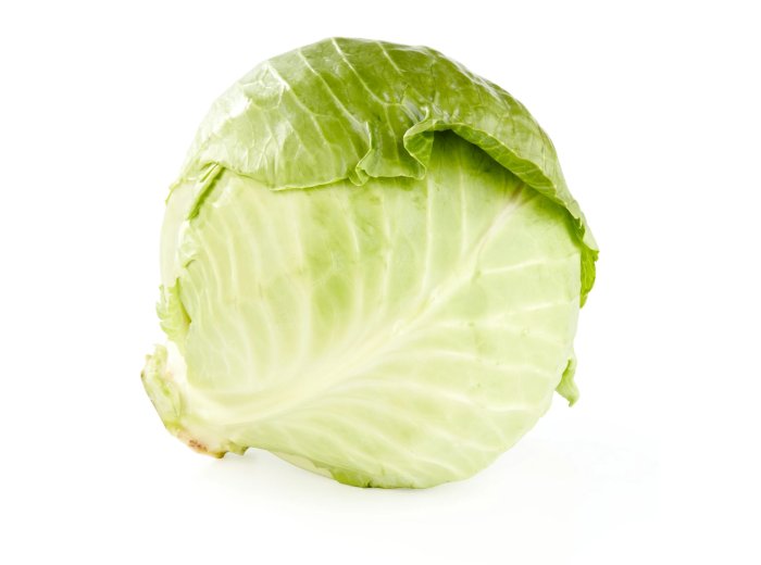 Fresh Green Cabbage