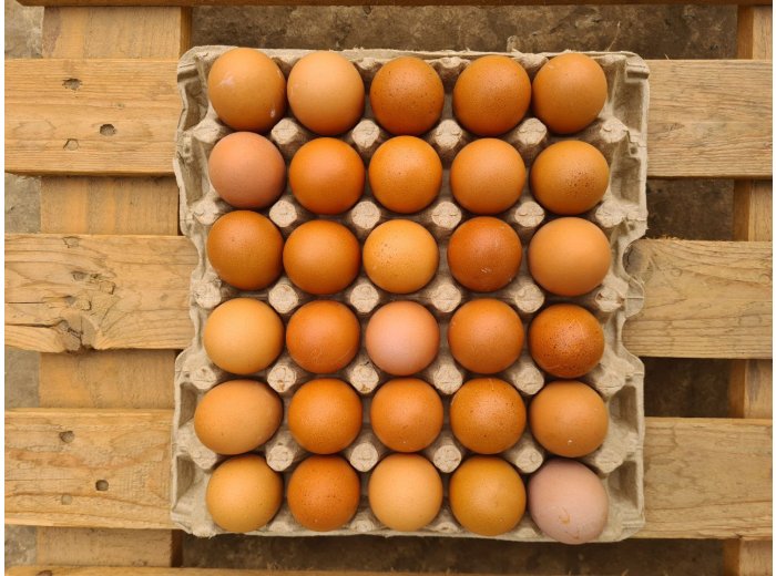 Fresh locally bred brown eggs 30pcs