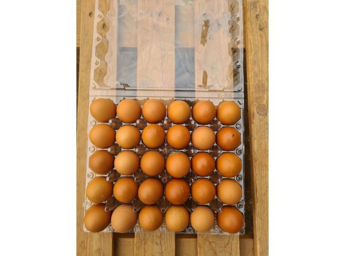 Fresh locally bred brown and white eggs 30pcs
