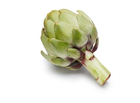 Jumbo Artichoke