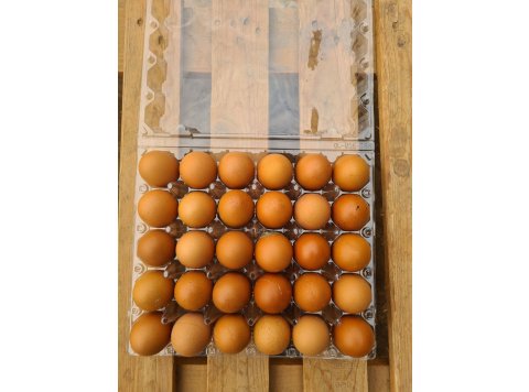 Fresh locally bred brown and white eggs 30pcs