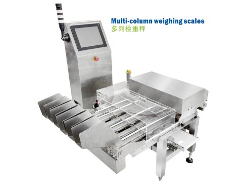 Multi-Column Weighing Scales