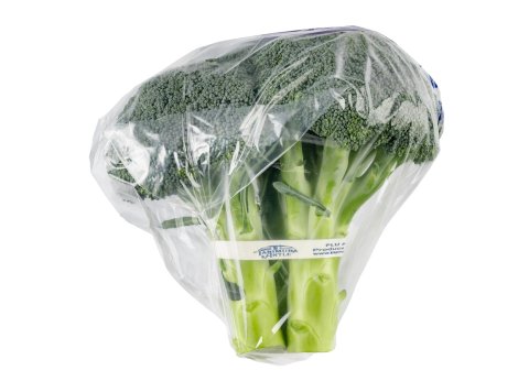 Freshly Cut, Vibrant Green Broccoli Bunch