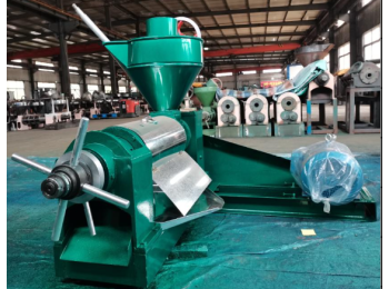 6YL-120-1 oil press machine