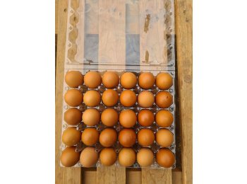 Fresh locally bred brown and white eggs 30pcs