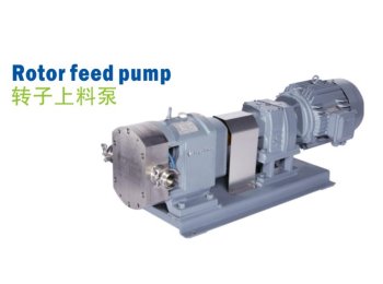 Rotor Feed Pump