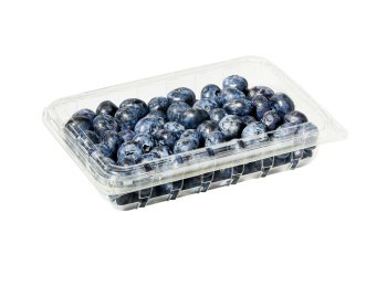 Fresh Jumbo Blueberries