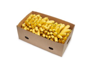 Case of Bananas