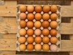 Fresh locally bred brown eggs 30pcs
