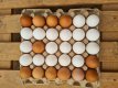 Fresh locally bred brown and white eggs 30pcs