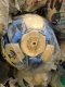 Football Soccer Ball for training and professional use