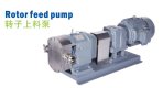 Rotor Feed Pump
