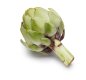 Jumbo Artichoke