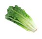 Fresh Romaine Lettuce Hearts